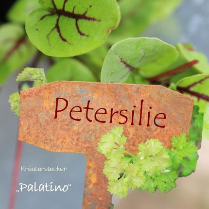 Kräuterstecker "Palatino" | Corten