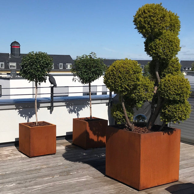 NORA | Corten