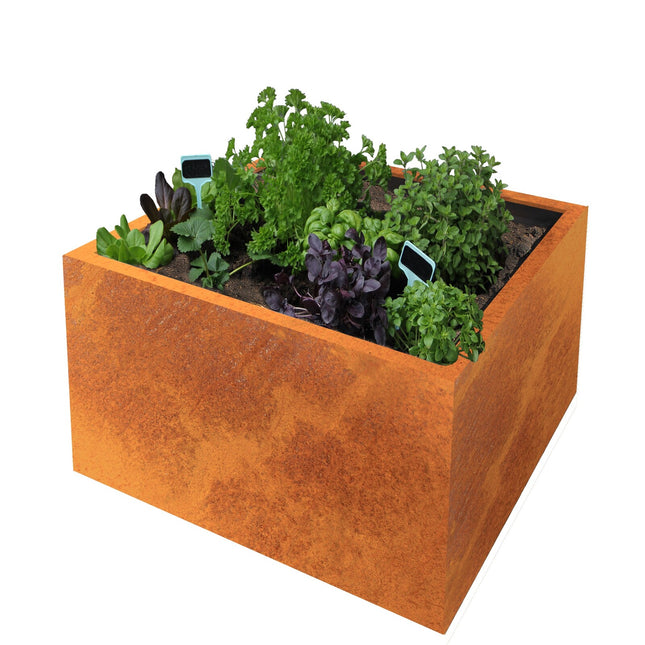 CLARA | Corten 