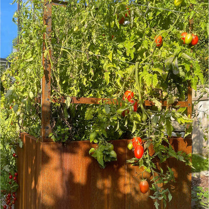 Gartenobjekt | HOME OF TOMATOES