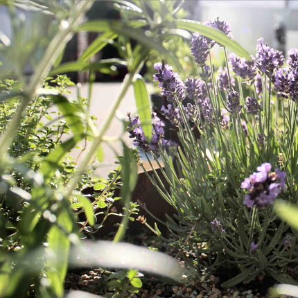 Gartenobjekt | Urbank ZERO 200 C
