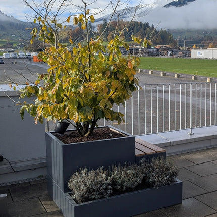 Gartenobjekt | SCHATZINSEL anthrazit