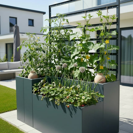 URBAN NEXUS Sichtschutz | Kombi Arrangement
