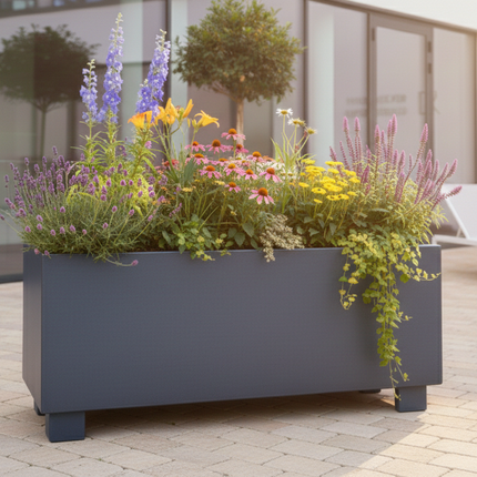 LOTTE STEPS 150x50 | anthracite 