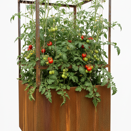 Garden object | HOME OF TOMATOES