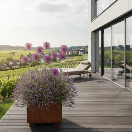 CLARA STEPS | Corten