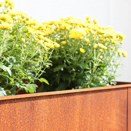 Design Tischbeet "Palatino" klein | Corten