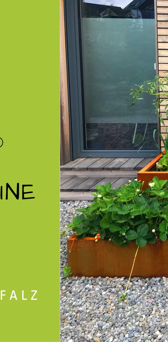 "palatino EXCLUSIVE LINE: Hochbeete aus Cortenstahl aus der Pfälzer Stahlmanufaktur im Garten Online Shop.